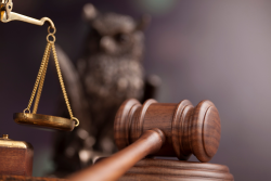 Government Regulatory Requirements